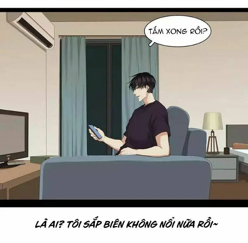 Chapter 11