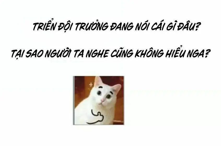 Chapter 11